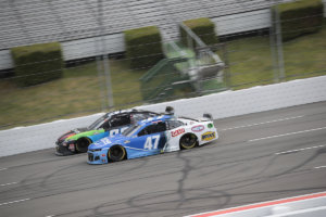 Pocono Organics 325